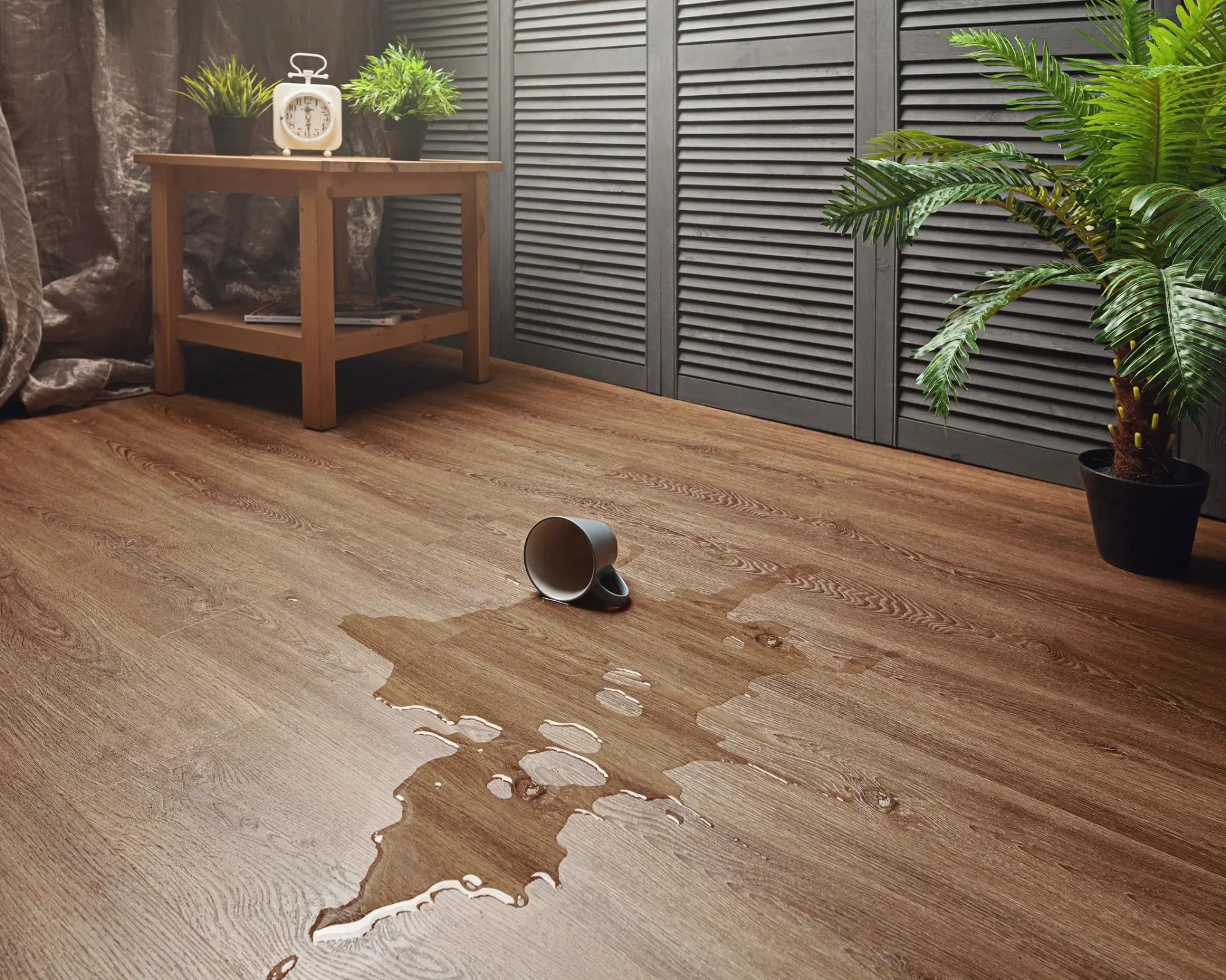 enlio carpet dealers phoenix